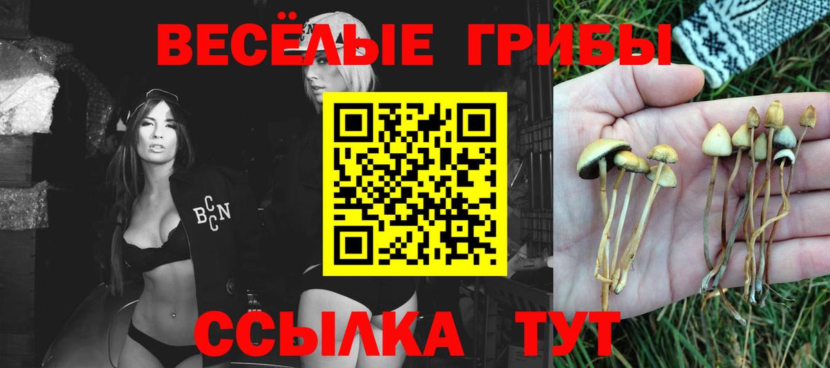Псилоцибиновые грибы мицелий  Вход с VPN  Саров  Галлюциногенные грибы Magic Shrooms 